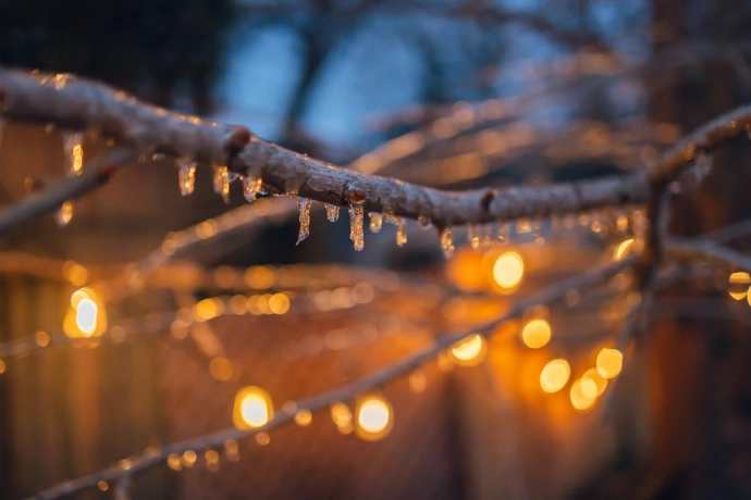 Icy branches with glowing lights in the background.